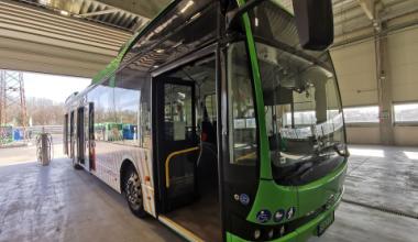 busz
