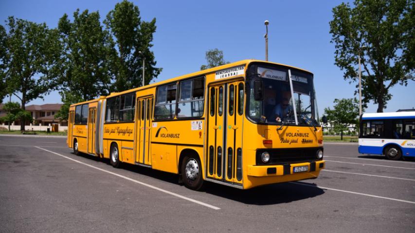busz