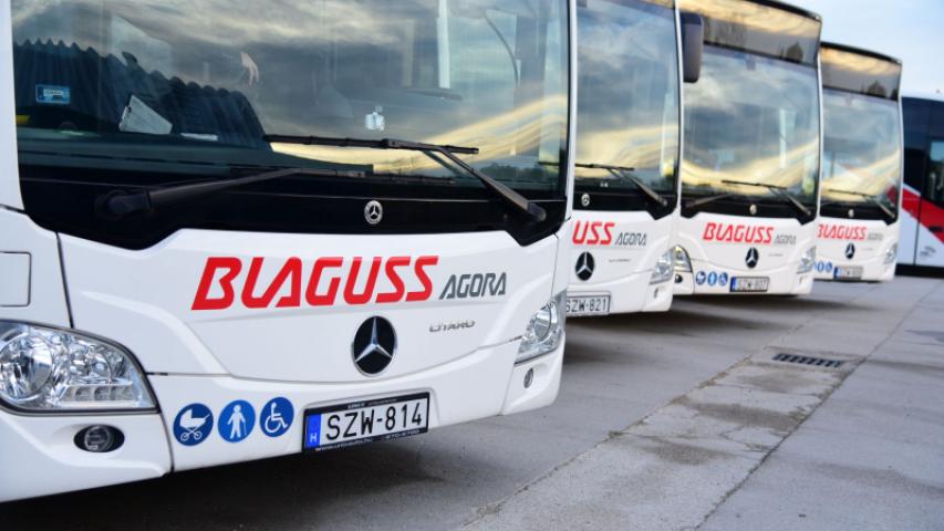 busz