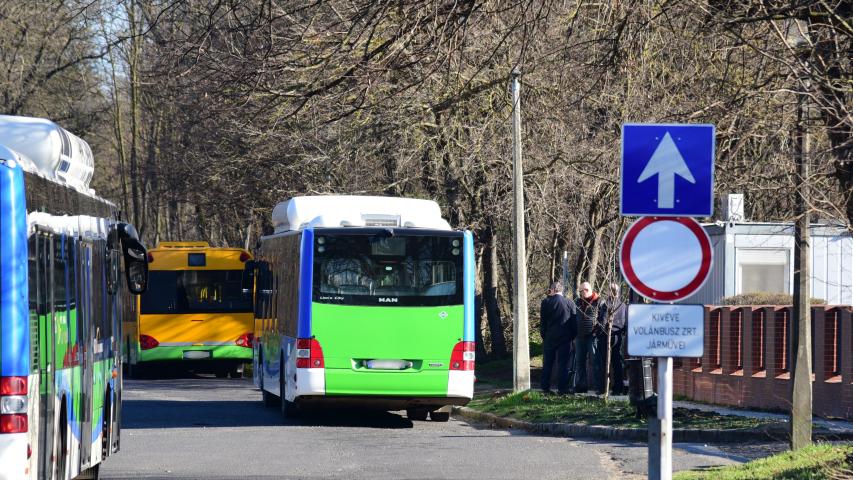 buszok